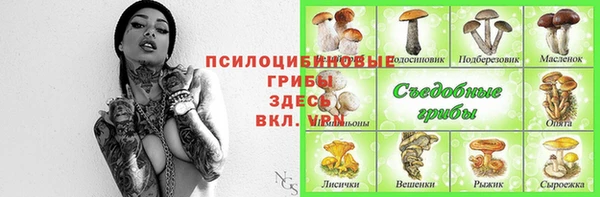 ALPHA PVP Вяземский