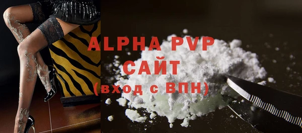 индика Вязники