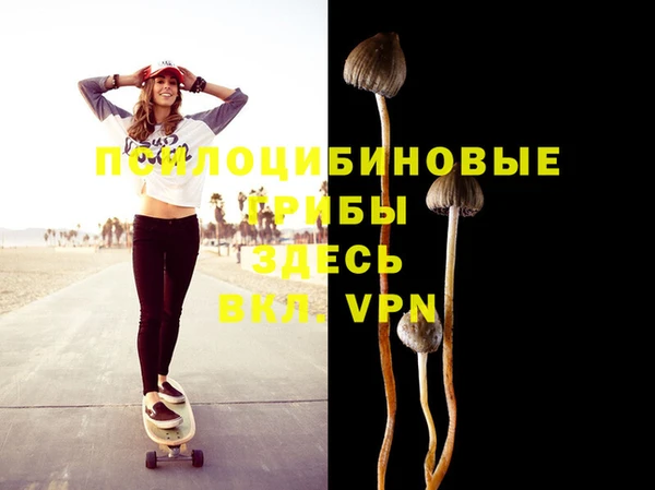 ALPHA PVP Вяземский