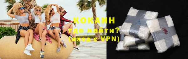 индика Вязники