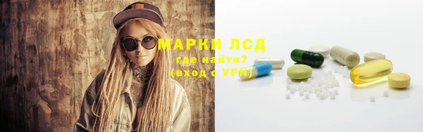 индика Вязники