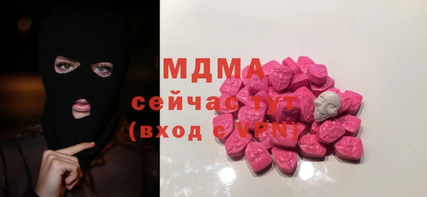 индика Вязники