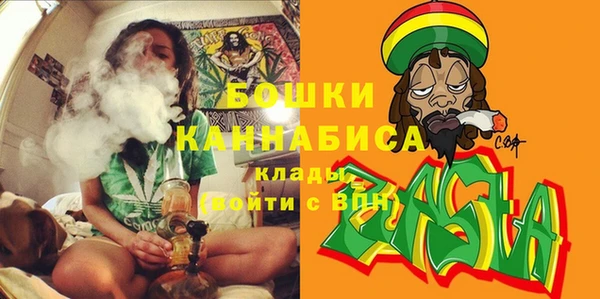 индика Вязники