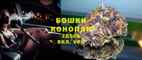 шишки Горнозаводск