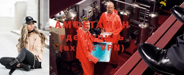 индика Вязники