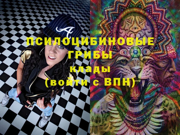 индика Вязники