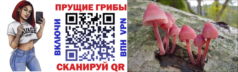 Псилоцибиновые грибы Magic Shrooms  хочу наркоту  Инта 
